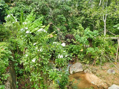 Jan 11 - Kathu Falls